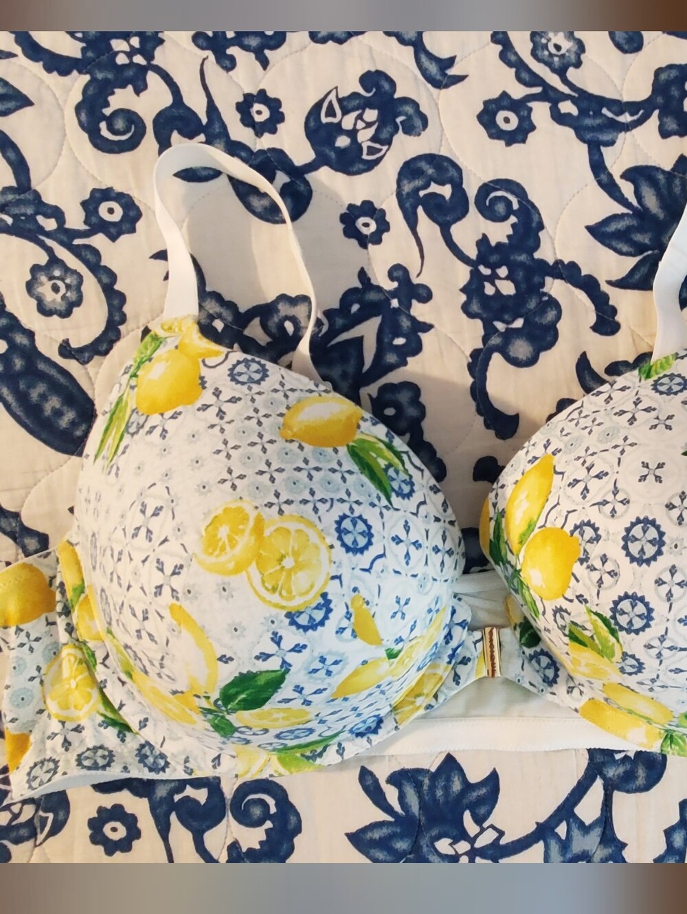 Cacique Boost Plunge Bra 44DD EUC